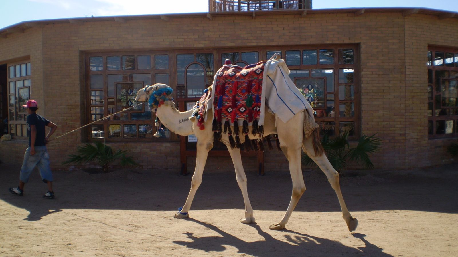 Ägypten Urlaub kann storniert werden