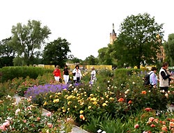 Rosengarten BuGa Schwerin