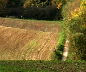 Herbstwanderung